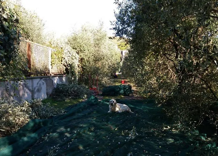 B&B La Grola San Martino Buon Albergo